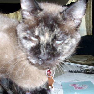 Meet your Posher, Anna